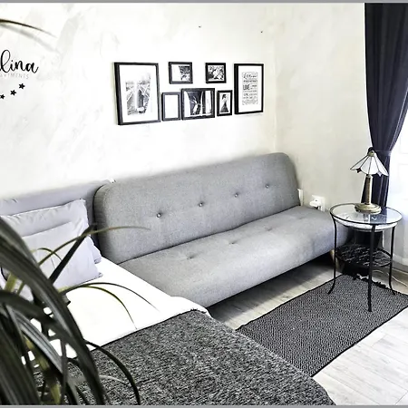 Angelina 2 ベオグラード